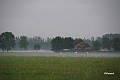 Vroege morgen in de Achterhoek